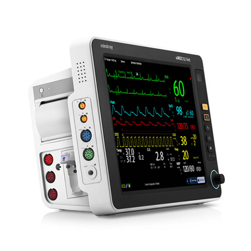 Monitorgieten